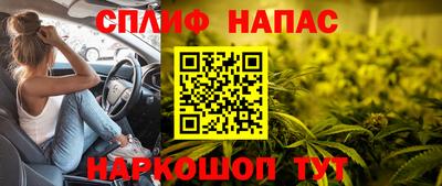 мет Можга