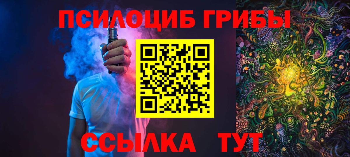 Псилоцибиновые грибы Cubensis Узловая